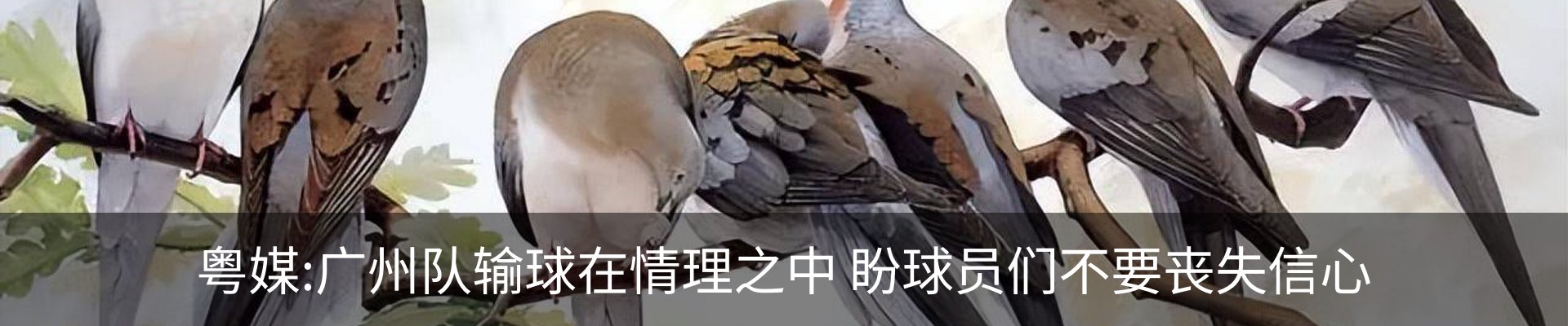 行业资讯